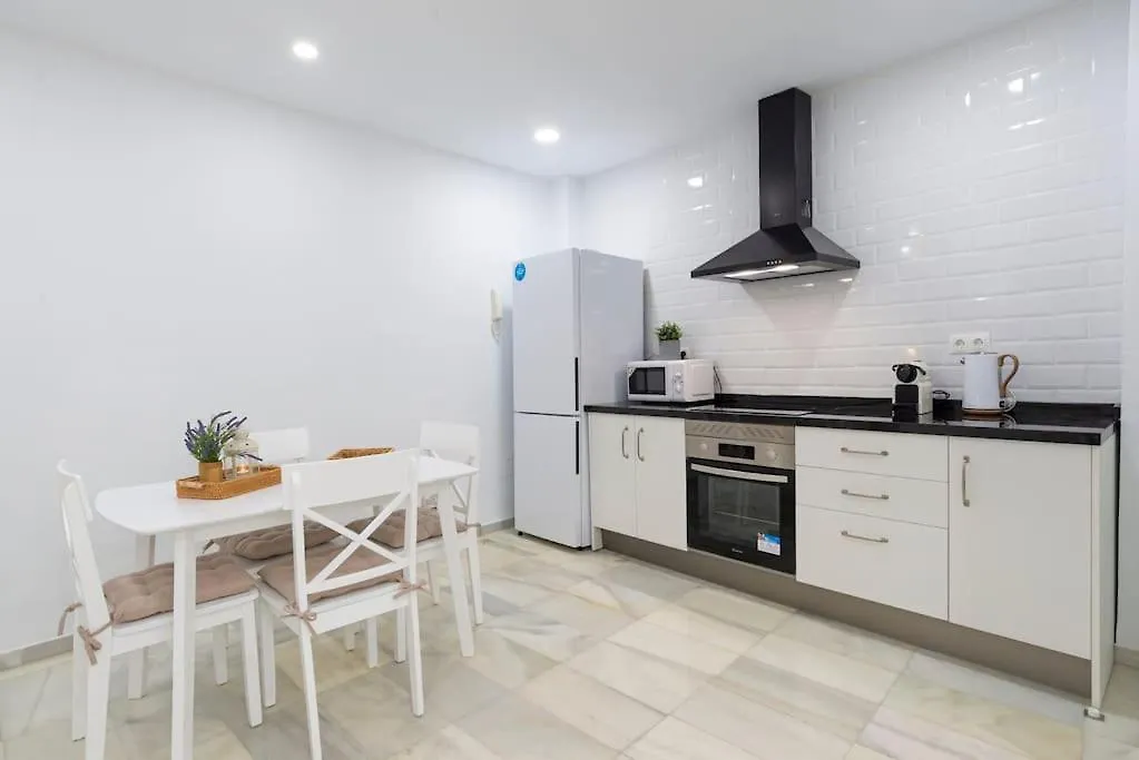Tejon II & Private Terrace By Ele Apartments Malaga Spain